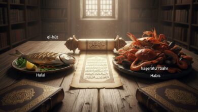 Denizden Çıkan Her Şey Helâl midir? Hanefî Cevabı